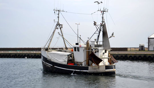 Fiskere kompenseres for lavere kvoter