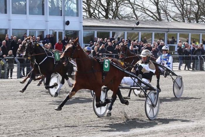 Derbyvinder skal ogs� bed�kke p� Bornholm