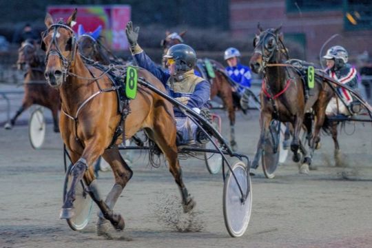 Bornholmer forst�rker sig med topkusk