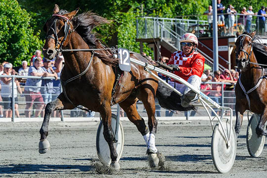 Amadillo C N frisket op i Sverige