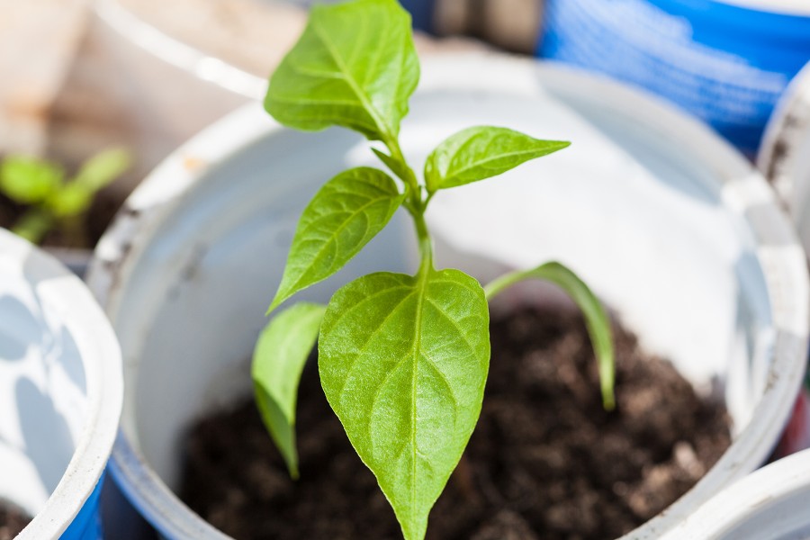 Nu kan havearbejdet p�begyndes