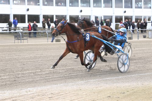 Flere bornholmere har f�et ny travhest