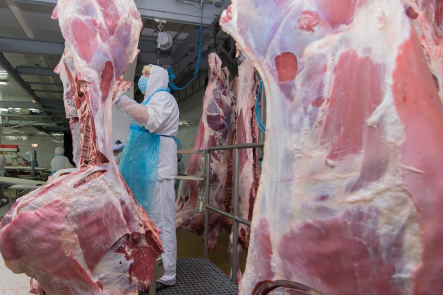 Slagtehus k�mper med underskud