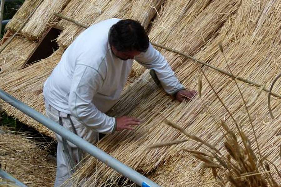 T�kkefirma fik overskud