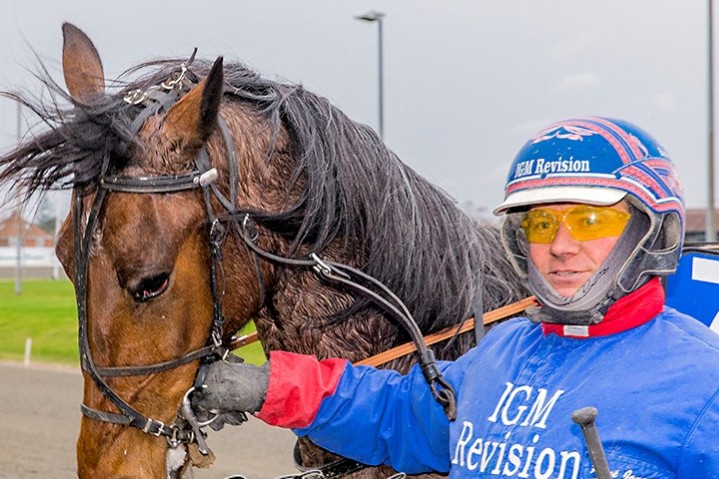 Delejet travhest jagter nye vinderblomster