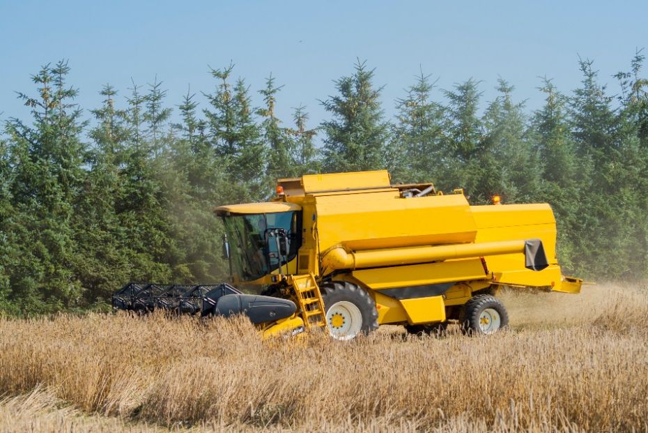 Sommeren er den travle tid p� landet