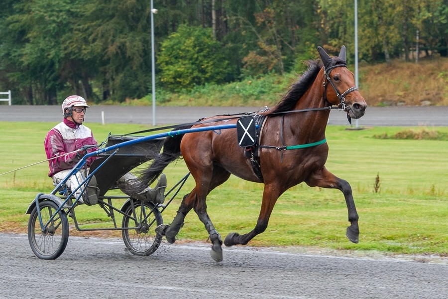 Championtr�ner �bner s�sonen i morgen