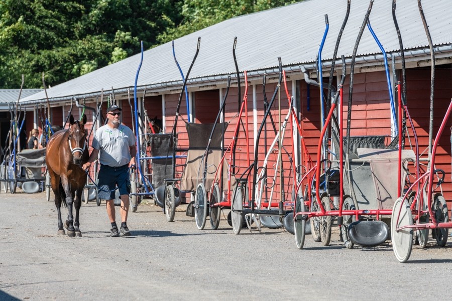 Snavset i stalde p� travbanen