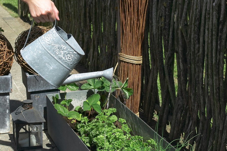 Du beh�ver ikke en k�kkenhave