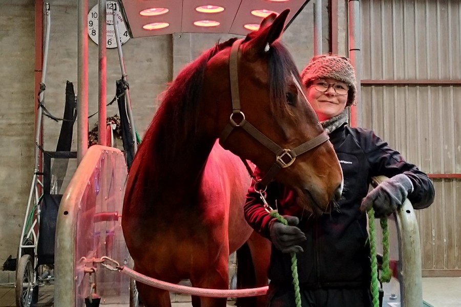 Healthy Horse Bornholm �bent igen