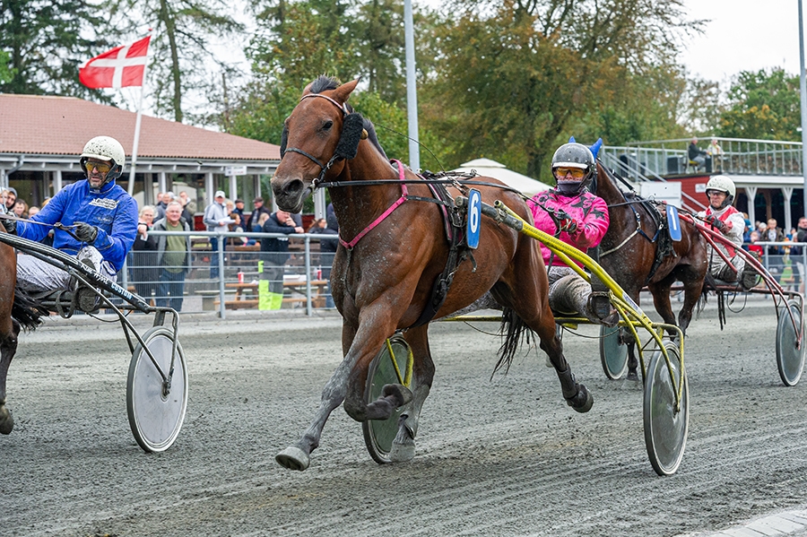 Hjemvendt fra USA er klar til travpremiere