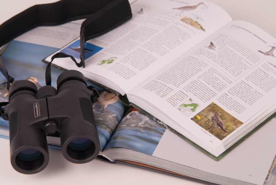 Kend fuglen p� stemmen