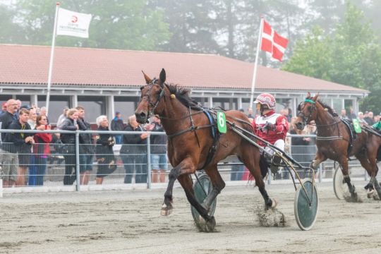 90 heste starter travs�sonen