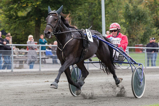 Travbanen er i helt perfekt stand