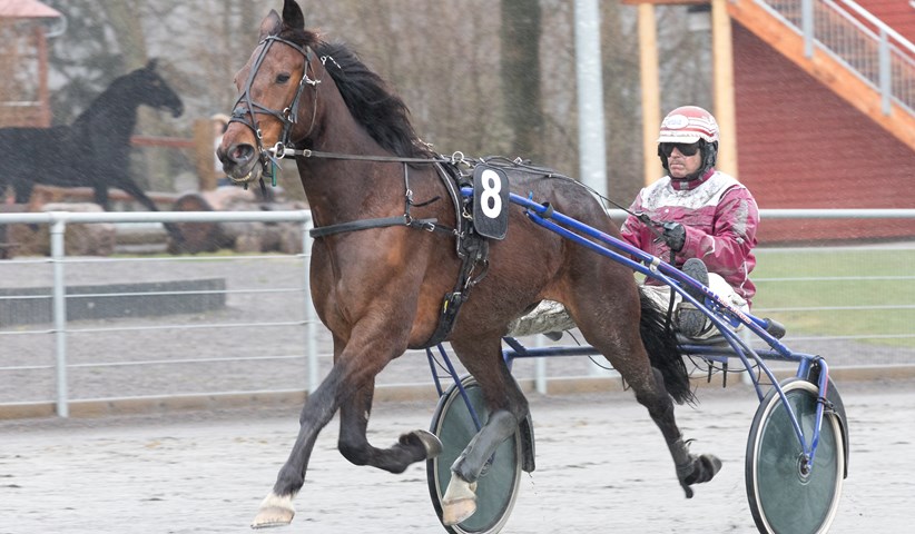 Travselskabet mister over 1 million i oms�tning