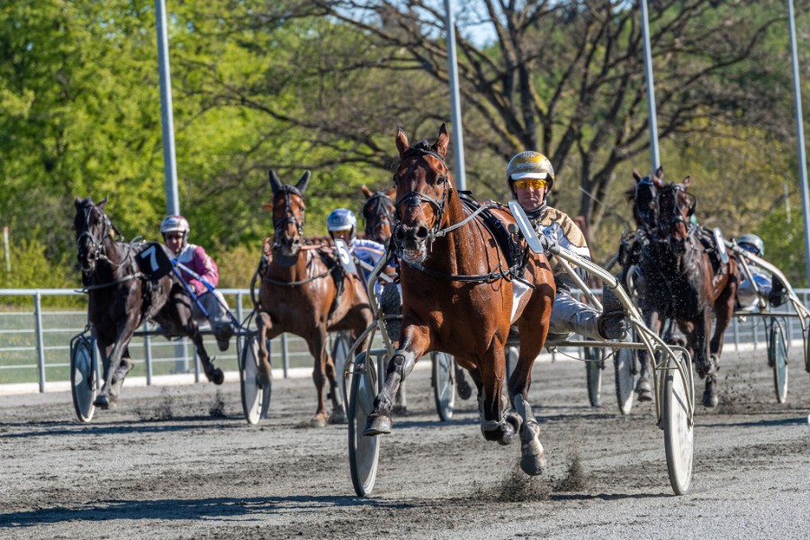 Favoritsejr i Golden League