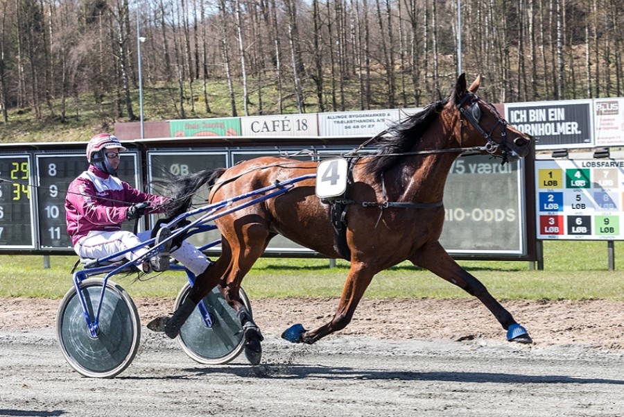 25 travheste i professionel tr�ning