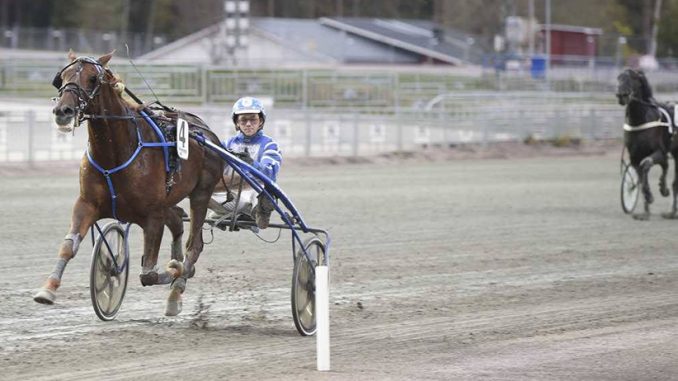 Storsejr til bornholmsk opdr�t i Stockholm