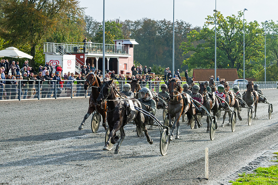 Travselskabet udskyder jubil�um