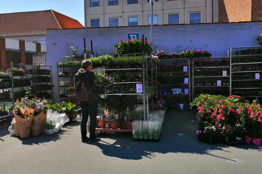 K�bmand holder liv i blomstermarked