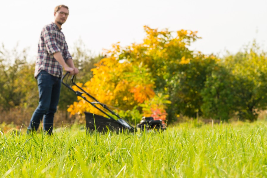 Er det i �r, pl�nen skal st� knivskarpt?