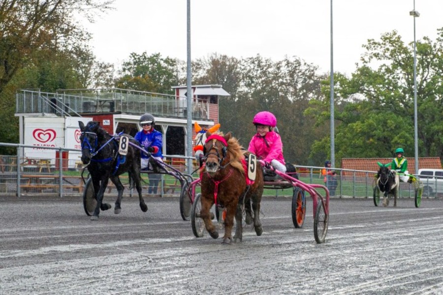 Ponytravklub starter s�sonen