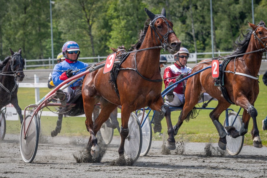 - Jeg h�ber amat�rerne snart m� k�re
