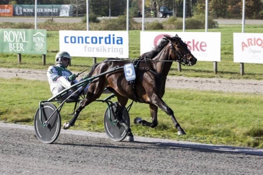 Topkusk genforenes med derbypr�mietager