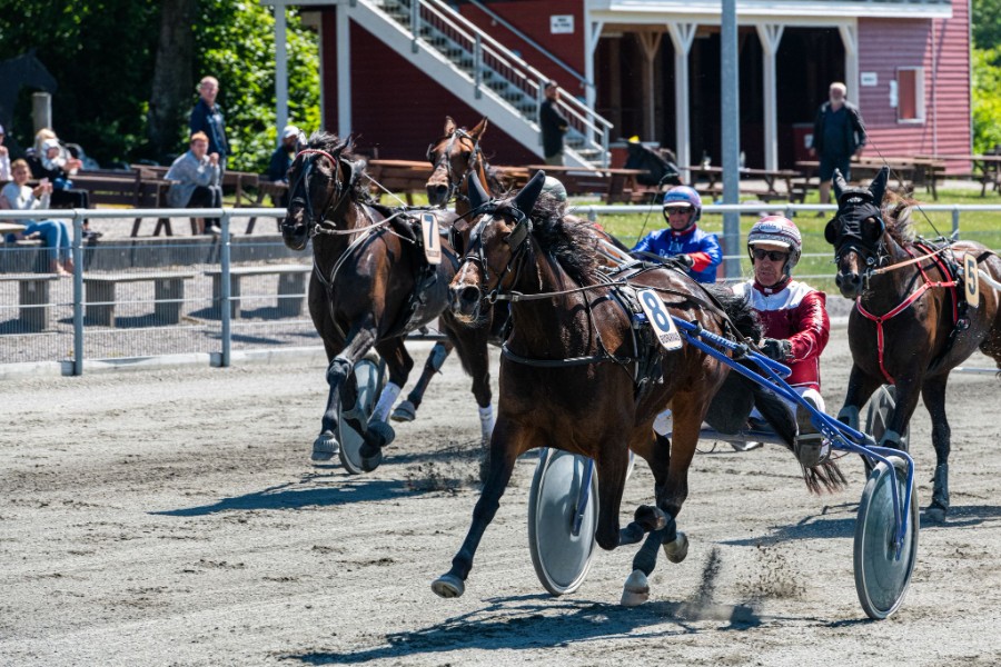 Vinderhest fortsat p� salgsmenuen
