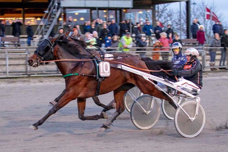 To Top3 placeringer til Stutteri Ice i Sverige