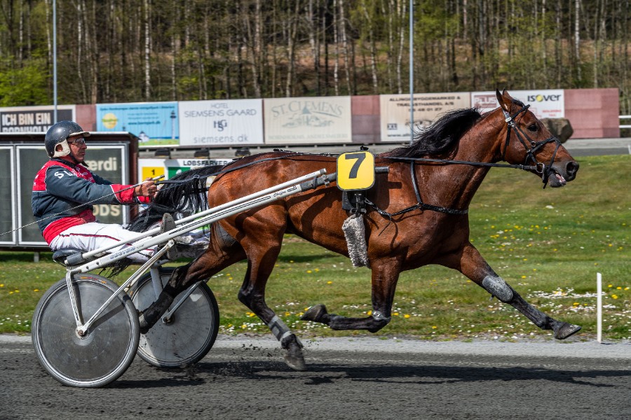 To rokader i travsportens Top5
