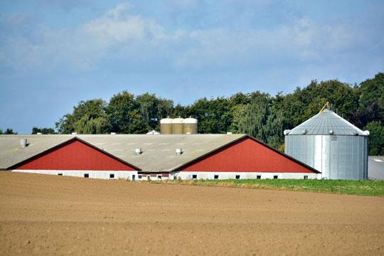 Corona fik konsekvenser for udenlandske arbejdere