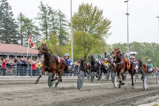 Tilskuerne spiller mere p� travhestene