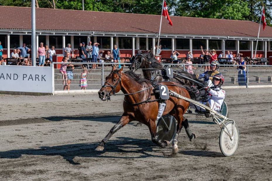 Stand And Deliver vandt f�dselsdagsl�b