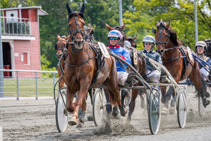 Kusk: Det ser lovende ud p� forh�nd
