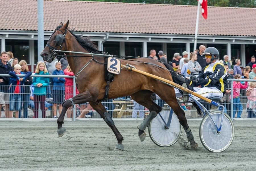 Storl�bsvinder har forladt travsporten p� Bornholm