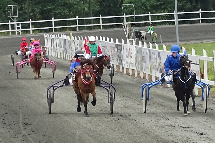Ponytrav starter s�sonen med fire l�b