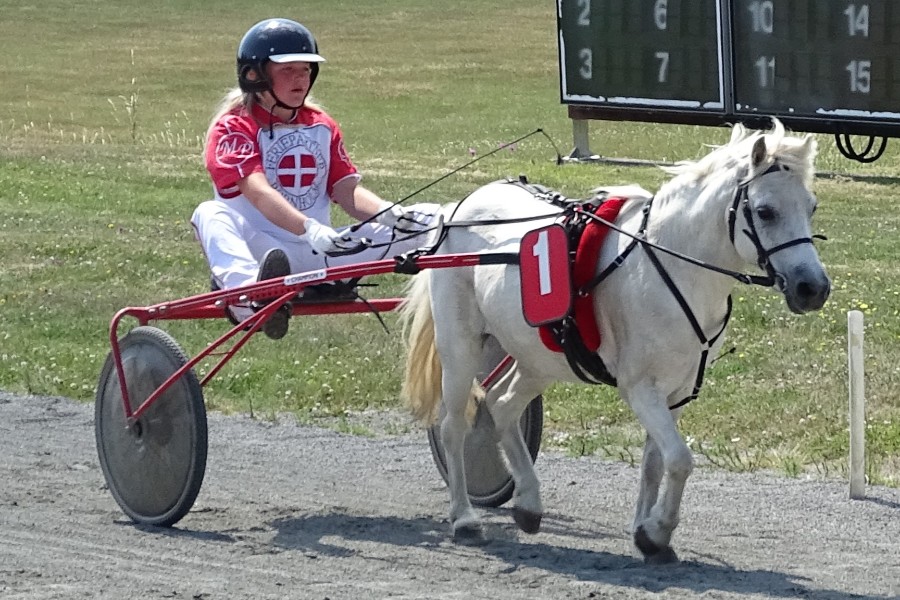 Ponykusk satte rekord i f�rste sejr