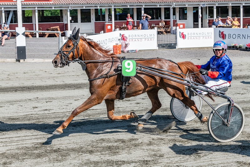 Sejrskusk: Min føring på Bornholm er kun til låns