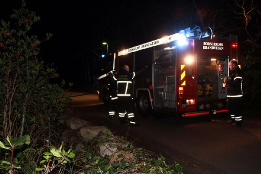 Damp fra flisbunke udl�ste storalarm