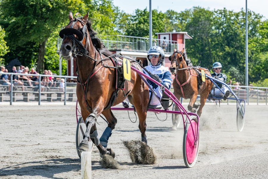Overvejer at booke svensk sejrskusk