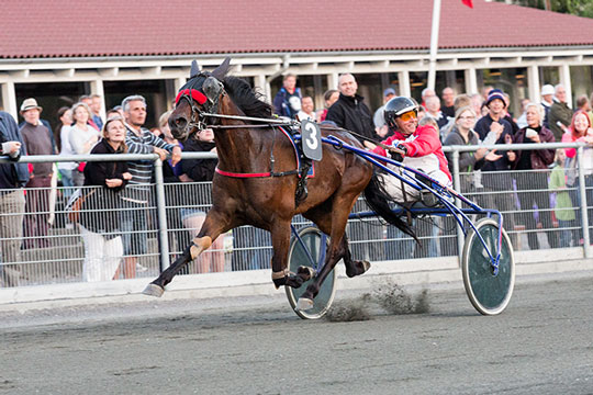 Bornholmsk sejrshest er d�d