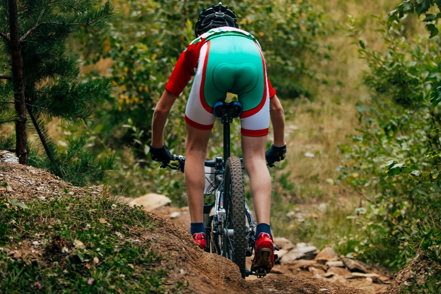 Statsskov �bner for guidede MTB-ture