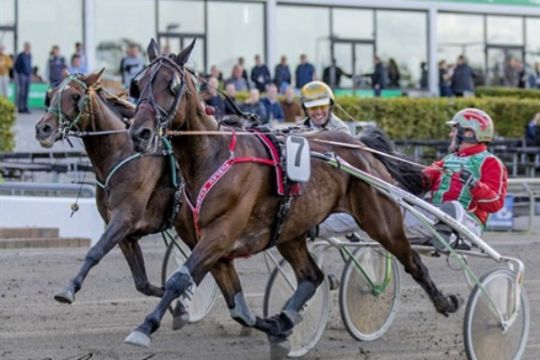 To travheste til l�b i hovedstaden i dag