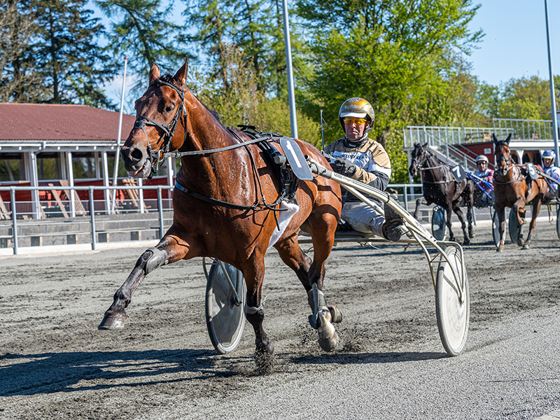 Storfavorit slettet i Golden League