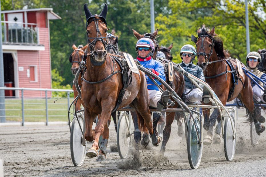 Twin Peaks vandt i Golden League