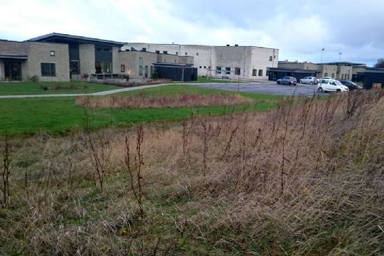 Tomme plejeboliger belaster budgettet