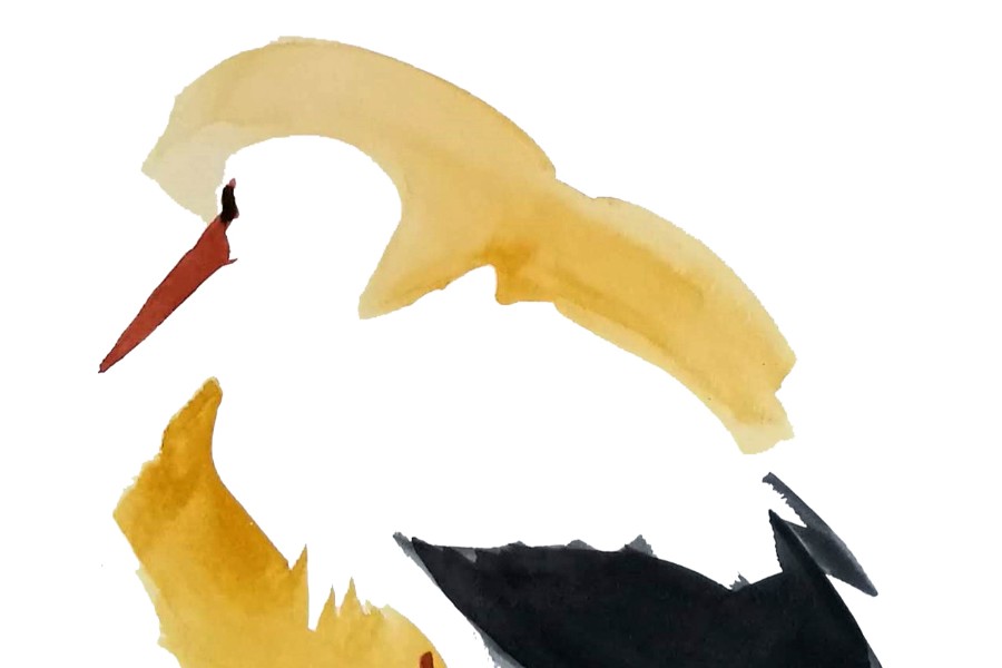 Nyt galleri udstiller nye v�rker