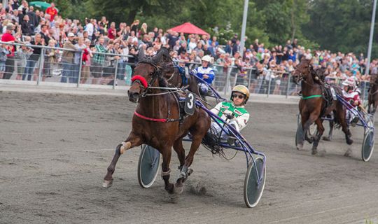 Stjernekusk g�ster Bornholms travbane