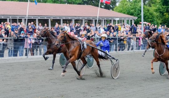 Uregerlig hoppe forlader Bornholm